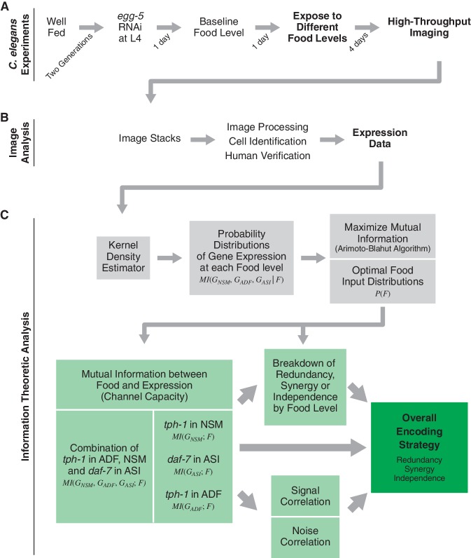 Figure 1—figure supplement 1.