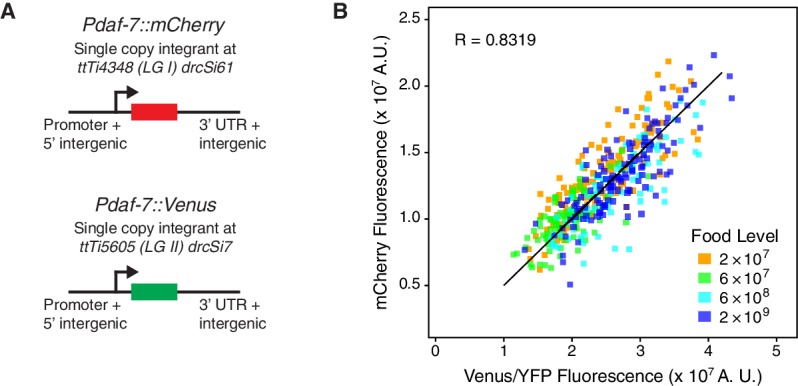 Figure 1—figure supplement 2.