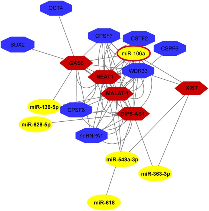 FIGURE 4