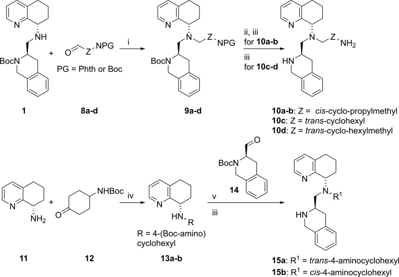 Scheme 2