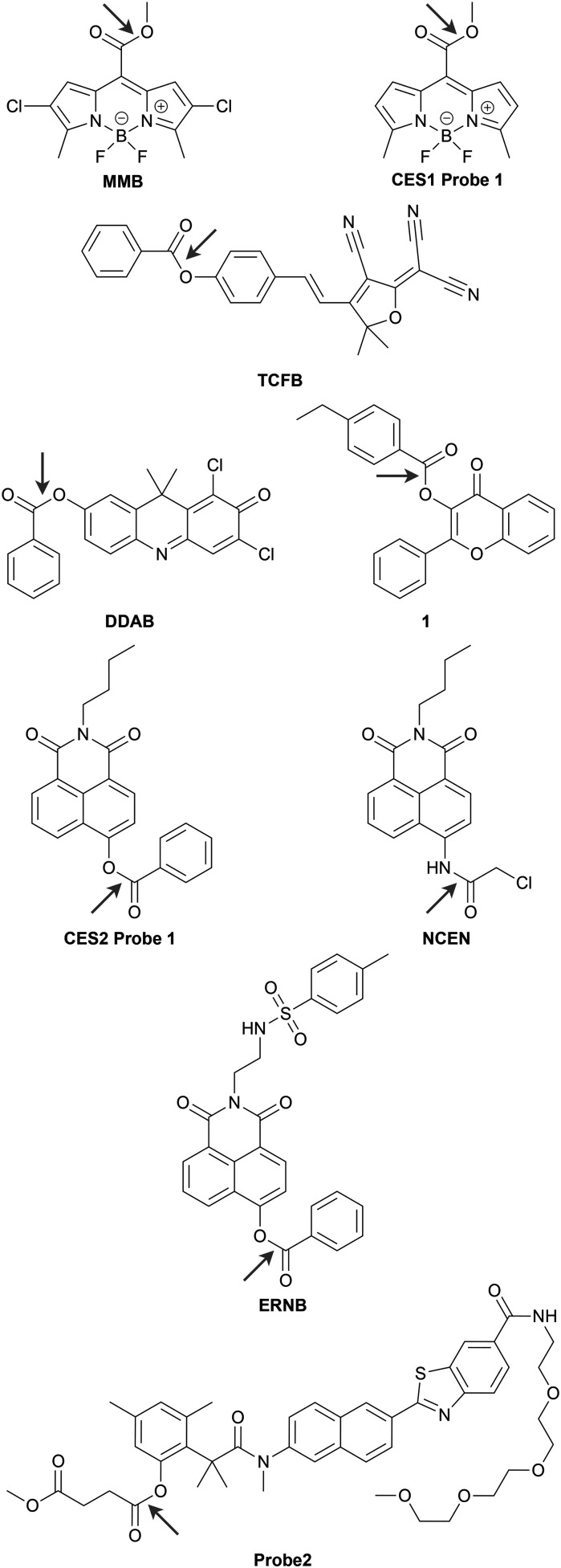 Chart 1