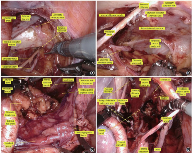 Fig. 8.