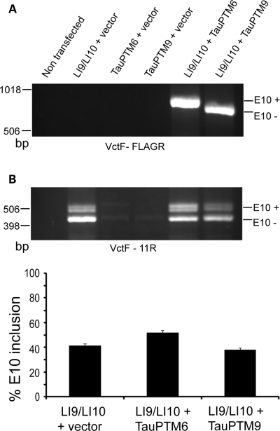 Figure 2.