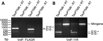 Figure 5.