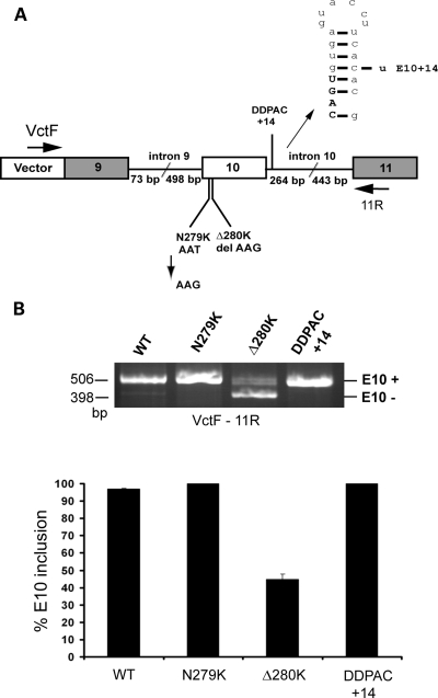 Figure 3.