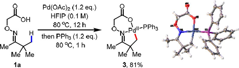 Scheme 4