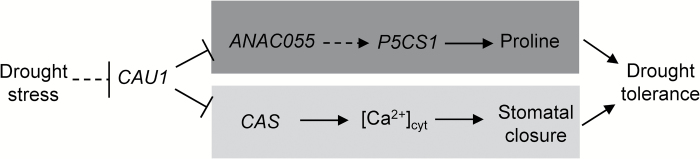 Fig. 7.