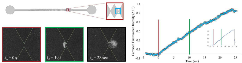 Figure 4–