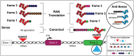 Figure 2.