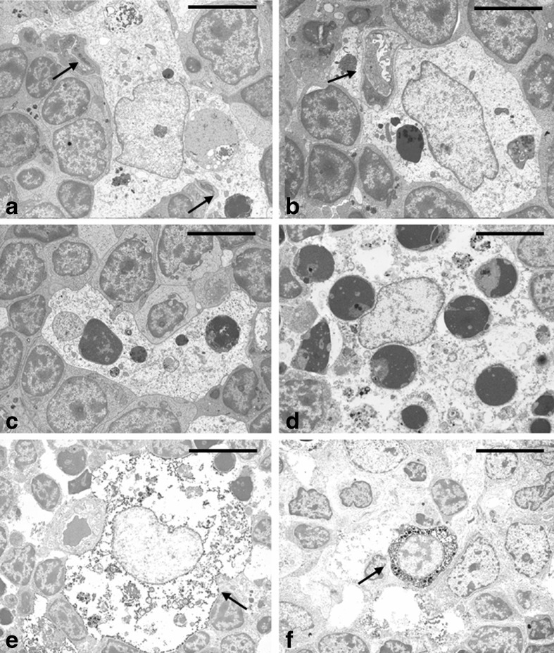 Fig. 8