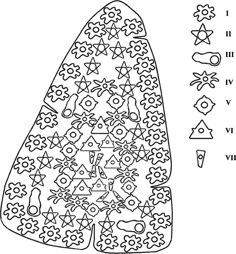 Fig. 5