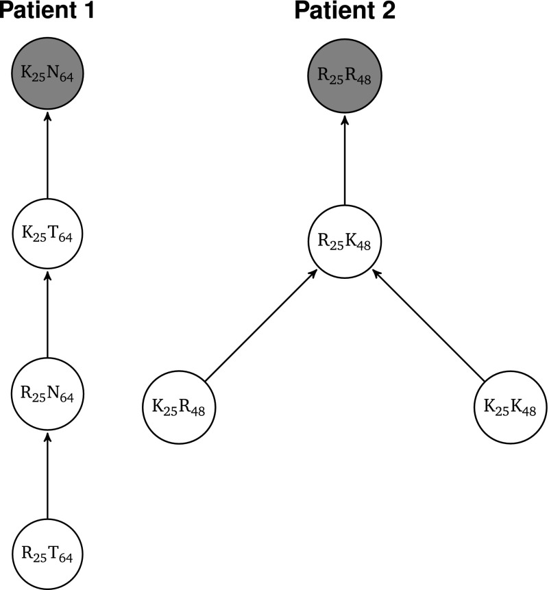 Figure 10