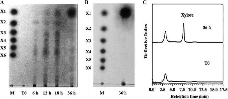 FIG 1