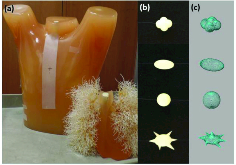 Figure 1.