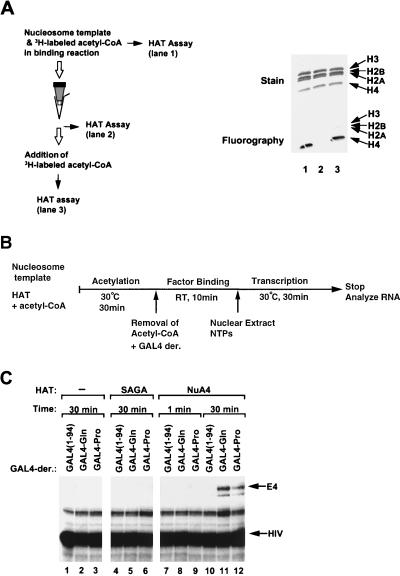 FIG. 6