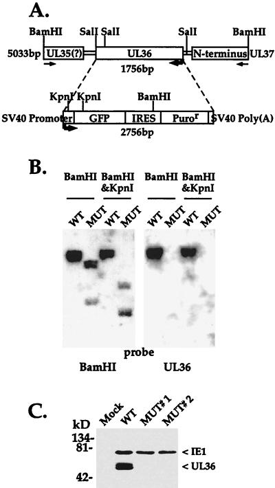 FIG. 6