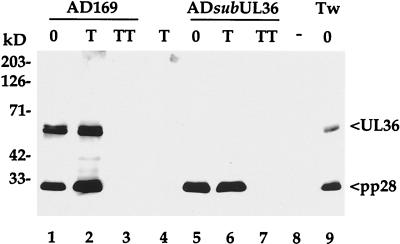 FIG. 8