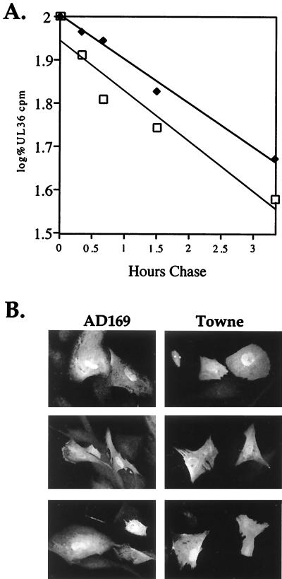 FIG. 5