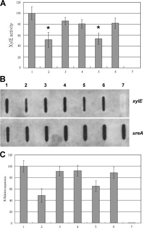 FIG. 6.