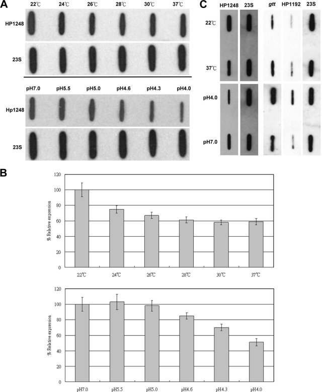 FIG. 7.