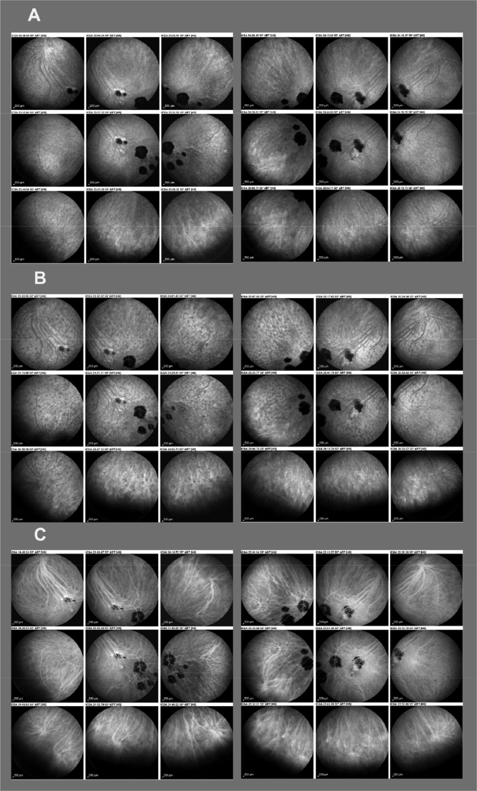 Fig. 4