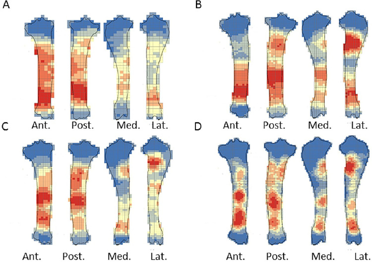 Fig 11