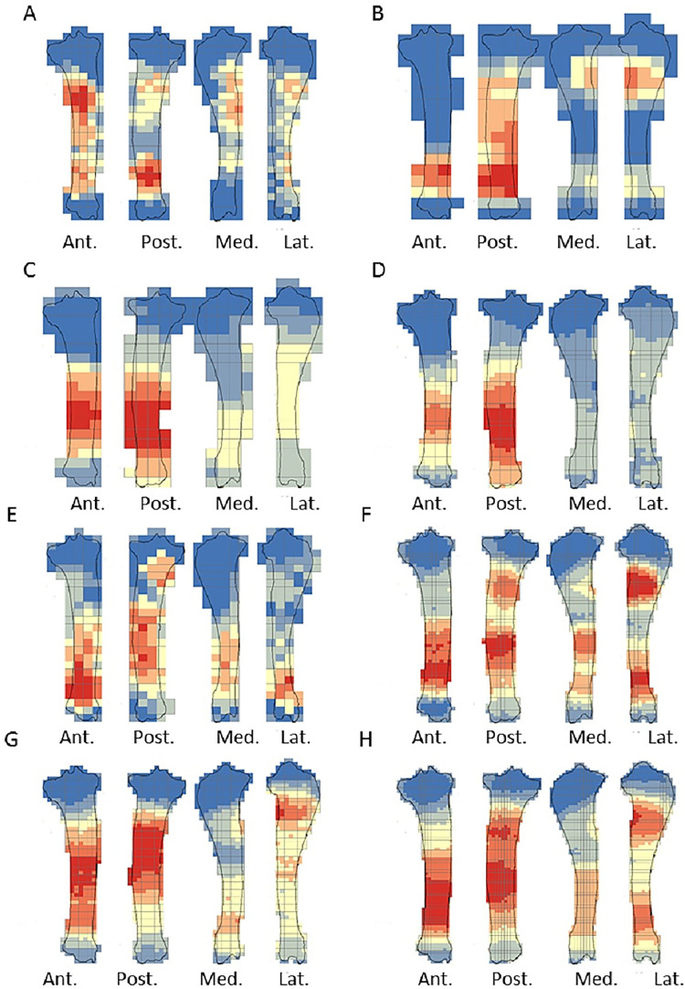 Fig 12