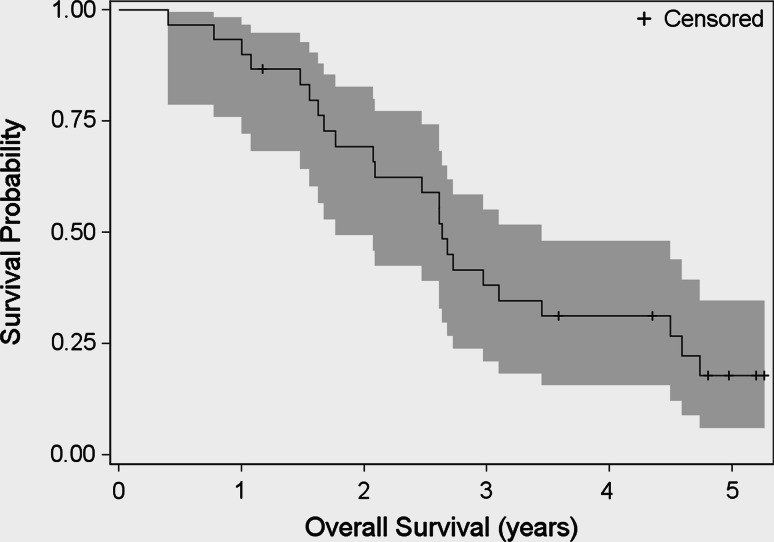 Fig. 1