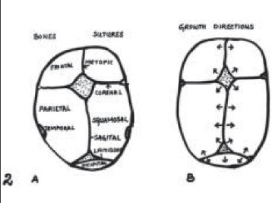 Figure 2A-B