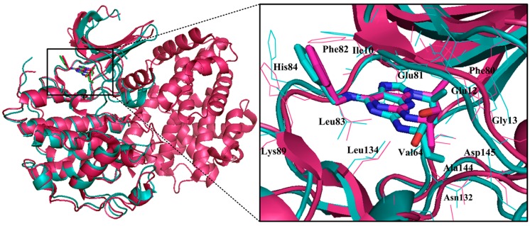 Figure 12