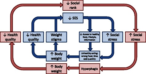 Fig. 5