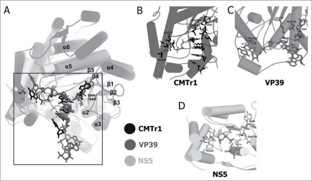 Figure 3.