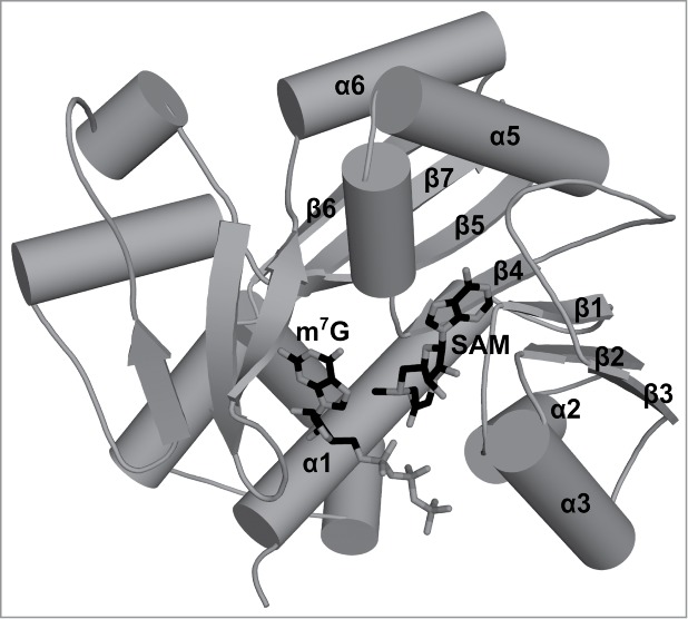 Figure 2.