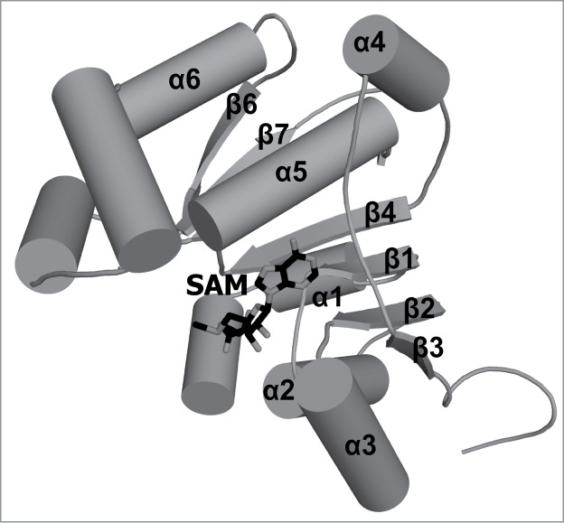 Figure 5.