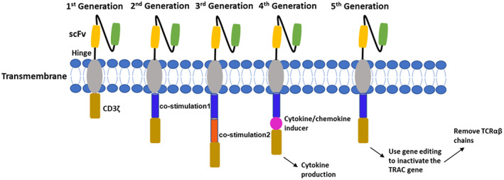 FIGURE 1