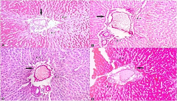 Fig. 5