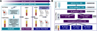 Figure 1. Study design and flow chart and molecular profiling results. A, Shown is an overview of the study design. Patients with early breast cancer were treated with standard of care (SoC) NCT or NET. After mutation analysis of the primary tumors using a 93-gene panel, patient-specific high-resolution assays were designed to track ctDNA during treatment. B, Flow chart showing patients and samples evaluated in the study. NA, not available; QC, quality control; UV, variants with unknown clinical significance. Created with BioRender.com.