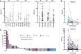 Figure 4. ctDNA levels and dynamics over the course of neoadjuvant therapy. A, Plotted are VAF distributions for three time points stratified by RCB (left plot). At BL, ctDNA levels were significantly elevated in patients with poor tumor responses (RCB II/III) compared with responders (RCB 0/I). For MT and the EOT, no association could be established due to a small number of positive samples for responders (right plot). B, Shown are patients with ctDNA data at BL and at least one additional time point stratified by tumor response. Top plot denotes responders, lower plot represents nonresponders. C, Waterfall plot of ctDNA changes (in percent) from BL to MT. *, Clearance of ctDNA at MT was considered as a 100% decrease; #, ctDNA detection at MT but not at BL was considered as a 100% increase.