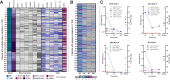 Figure 2. Somatic driver alterations in tumor and plasma. A, Heat map representing the landscape of somatic driver alterations, including mutations and CNAs in tumor samples. B, Heat map representing number of mutations detected by SiMSen-seq in all plasma samples (All), at BL, MT, and EOT. C, Time courses of exemplary patients with various numbers of screened mutations in plasma. Shown are the VAF in plasma at BL, MT, and EOT (left y-axis) and the VAFs of the mutations detected in matched tissue samples (right y-axis). LOD, limit of detection.