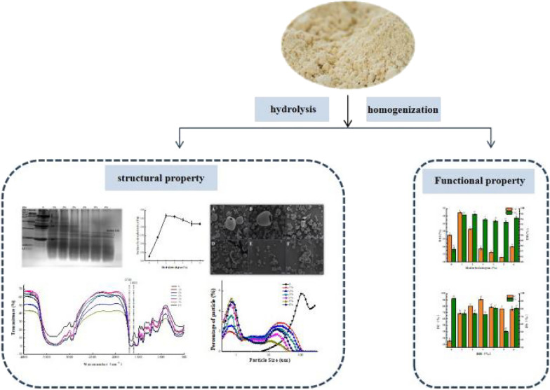 graphic file with name 40643_2022_565_Figa_HTML.jpg