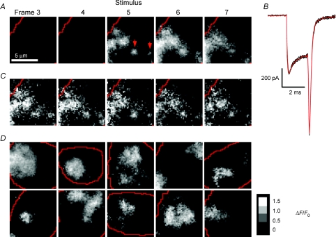 Figure 4