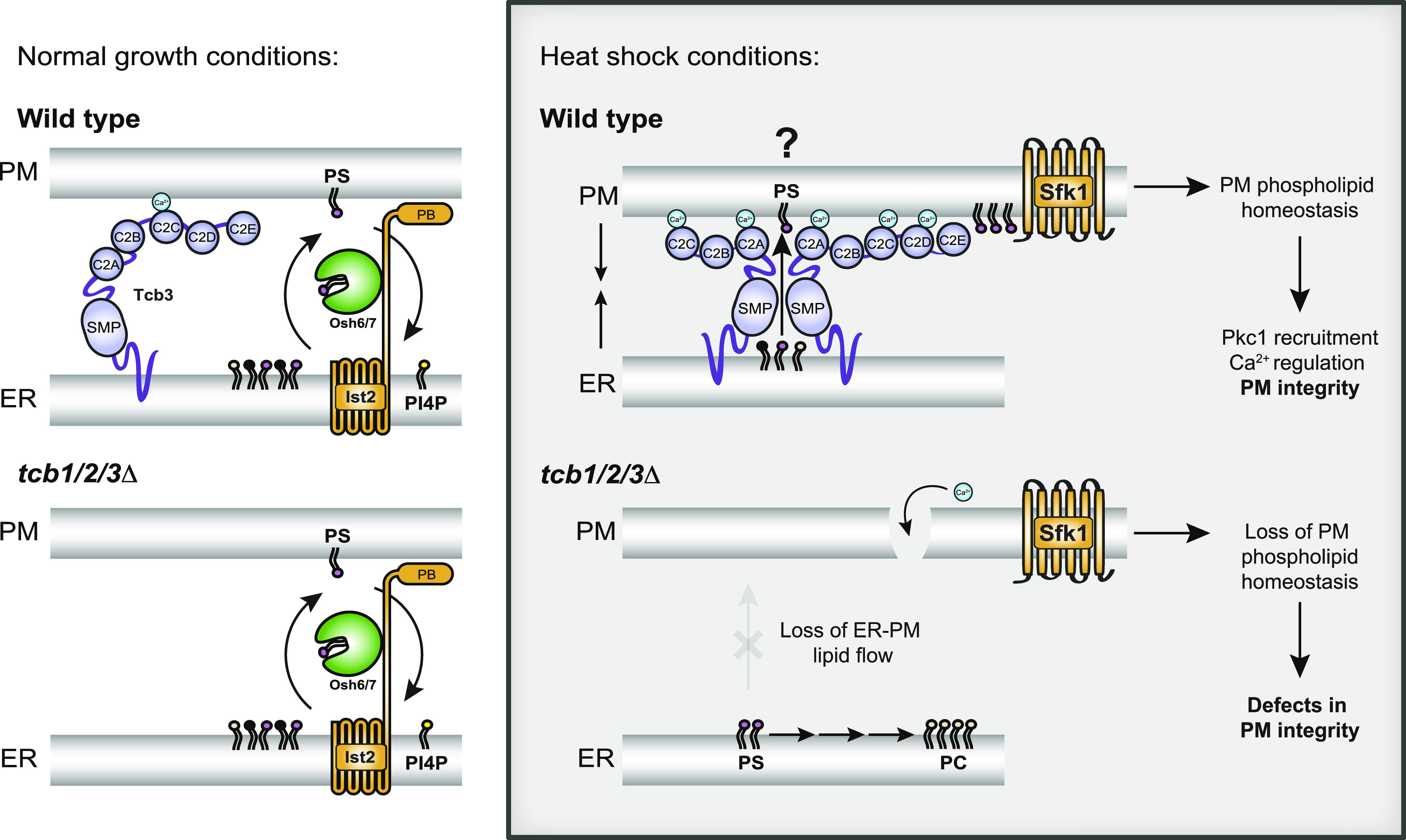 Figure 9.