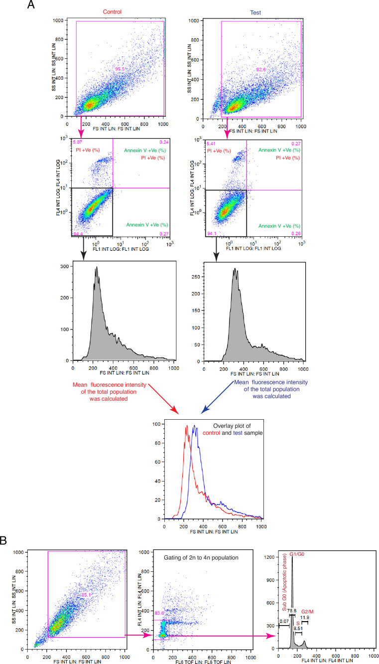 Figure 1—figure supplement 2.