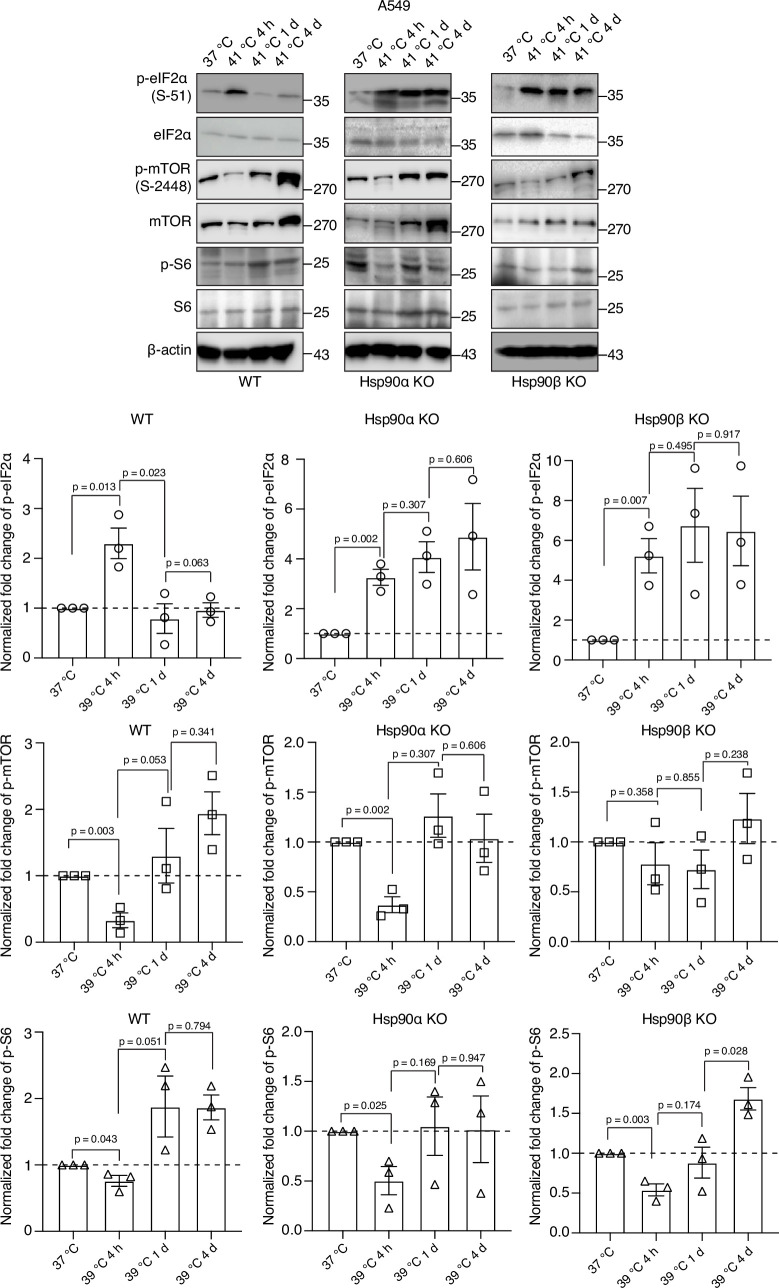 Figure 6—figure supplement 2.