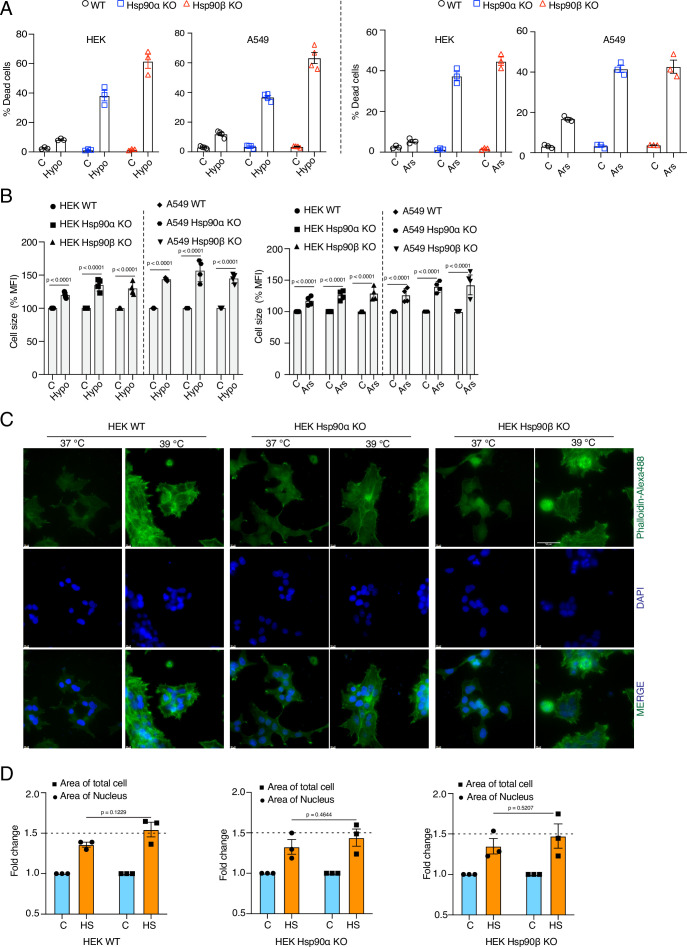 Figure 2—figure supplement 1.