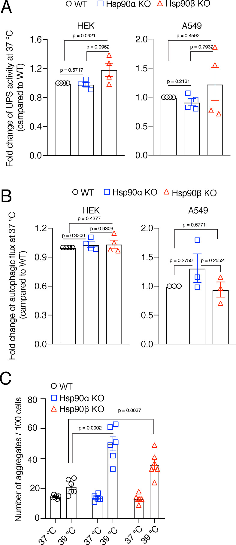 Figure 7—figure supplement 1.