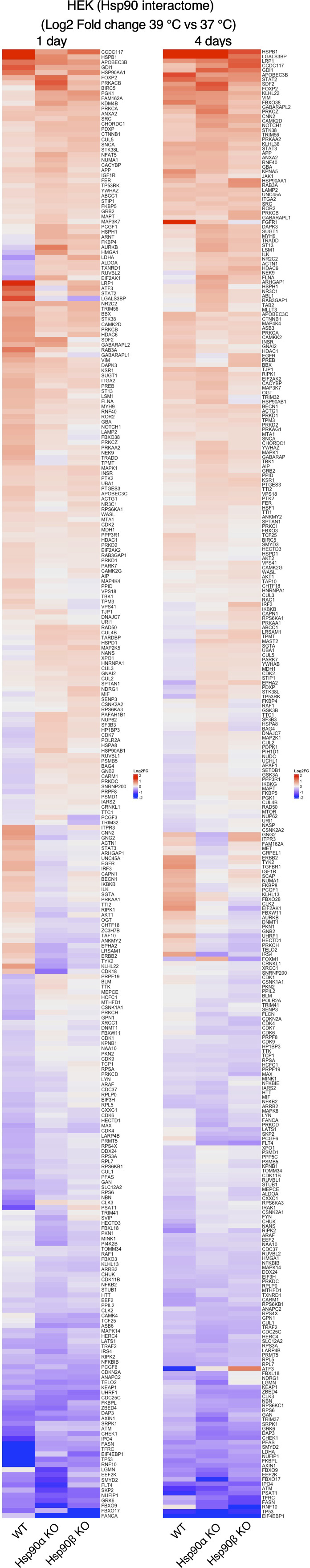 Figure 4—figure supplement 2.