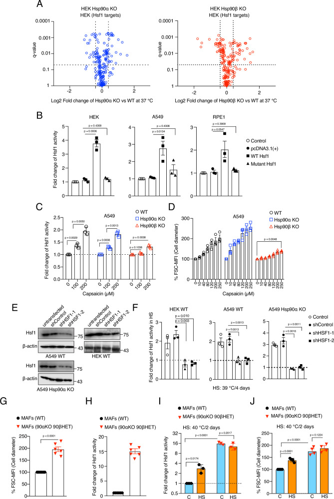 Figure 3—figure supplement 1.