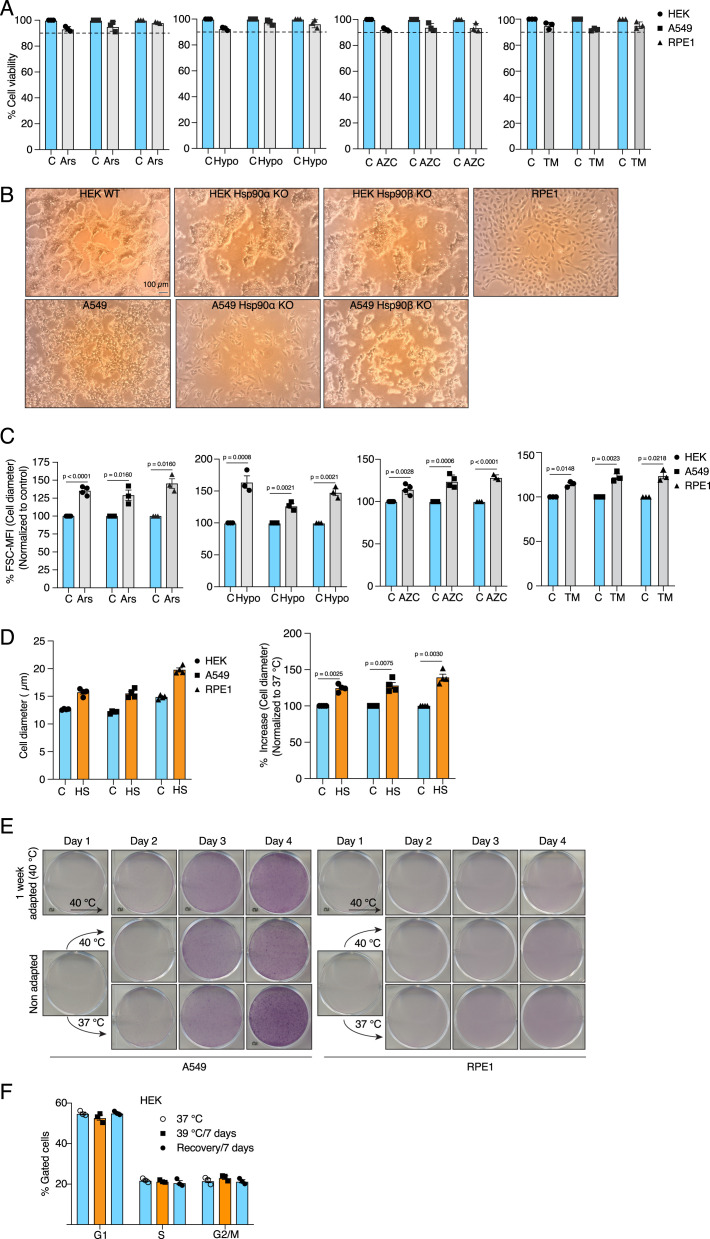 Figure 1—figure supplement 1.