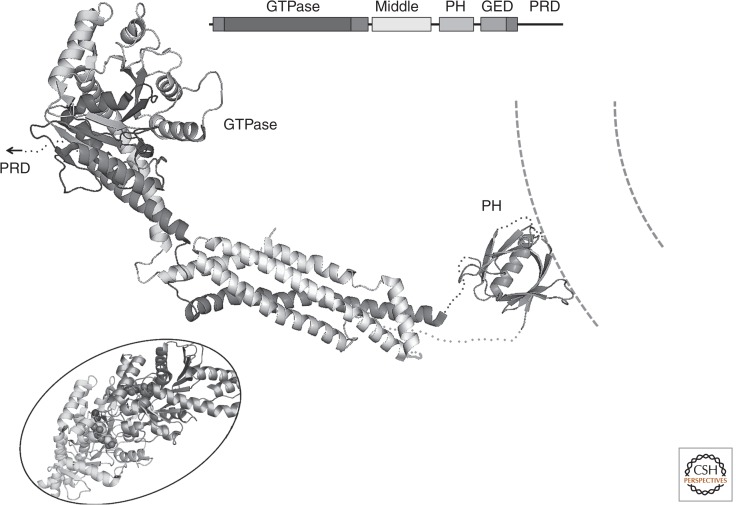 Figure 7.